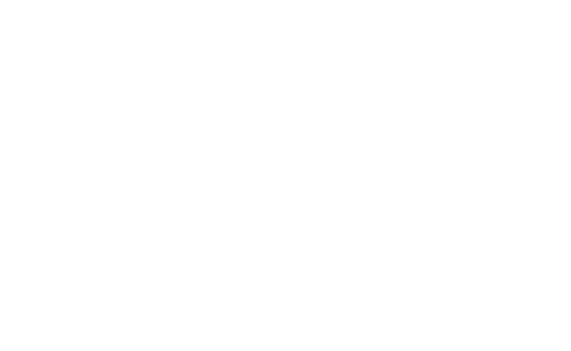 Customer 360